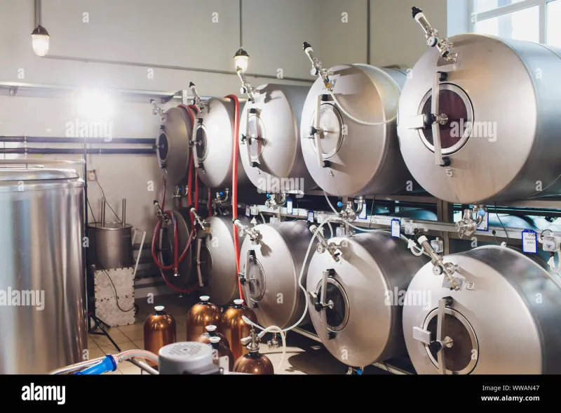 What's in the Well: The Hidden Ingredient That Defines Every Beer We Brew