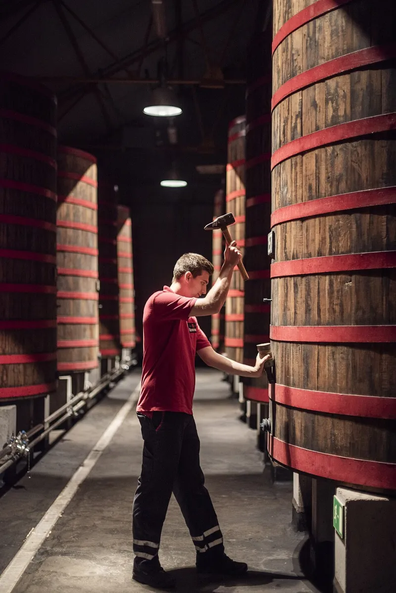 Uncharted Pints: The Explorer's Spirit Behind Our Limited Release Beers